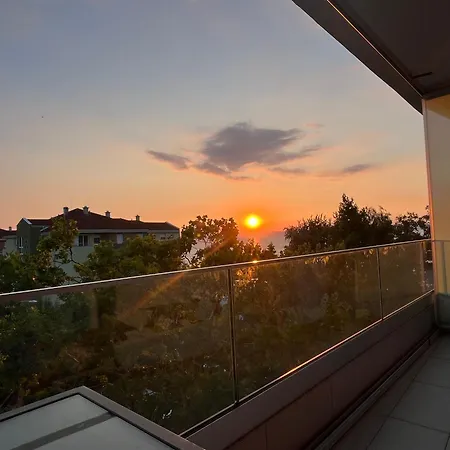 Summer Vibe Wave שיופוק