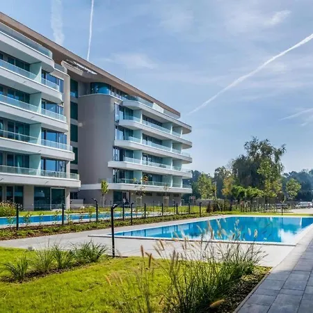 Summer Vibe Wave شيوفوك