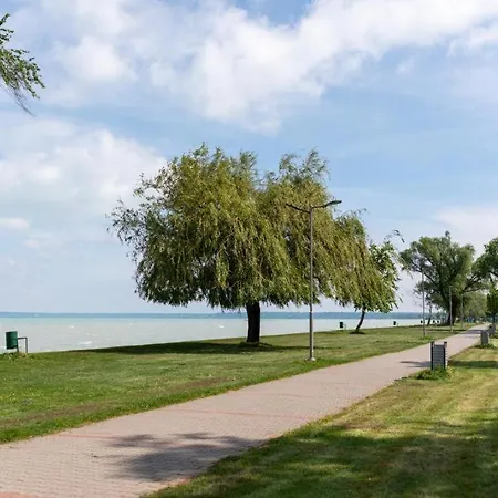 Summer Vibe - Wave Siofok