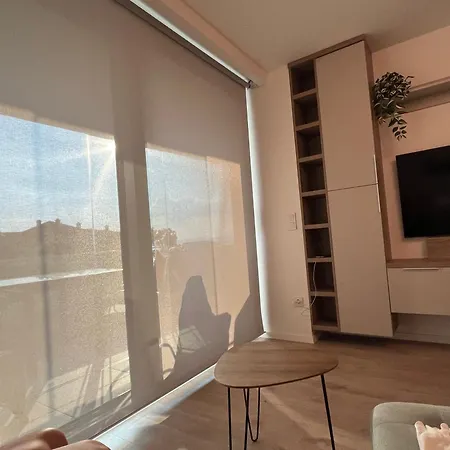 Summer Vibe Wave شيوفوك