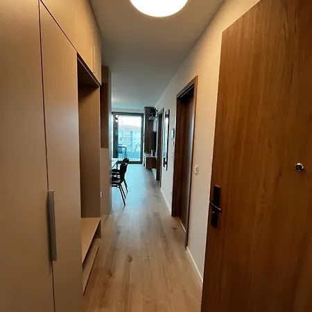 Apartment Summer Vibe Wave